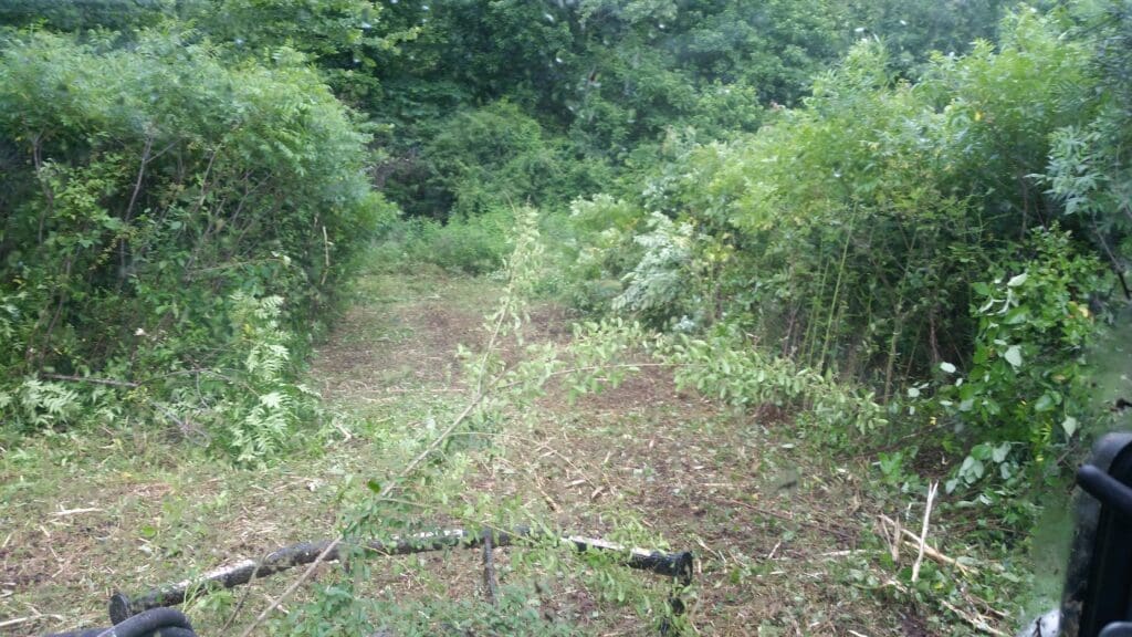 A freshly cleared path runs through dense green vegetation and bushes, with cut branches and leaves scattered on the ground, showcasing professional land clearing and grading and leveling amidst lush trees. Bushcore Excavation Drainage Site Prep Grading Middle Tennessee Dickson Nashville